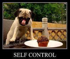 Neville_Garnham's tweet image. &quot;The difference between want and need is self control.&quot;
