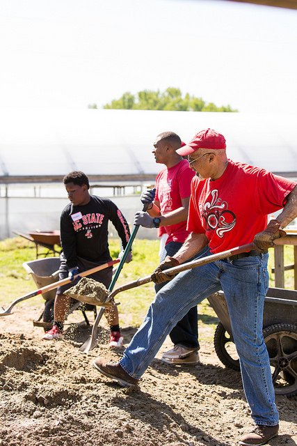 NCStateAlumni's tweet photo. #WolfpackServiceDay is Saturday in Wake County. Volunteer and make new #NCState friends. https://t.co/eUzmQU5fD6 🐾 https://t.co/jclQ9iD8Oo