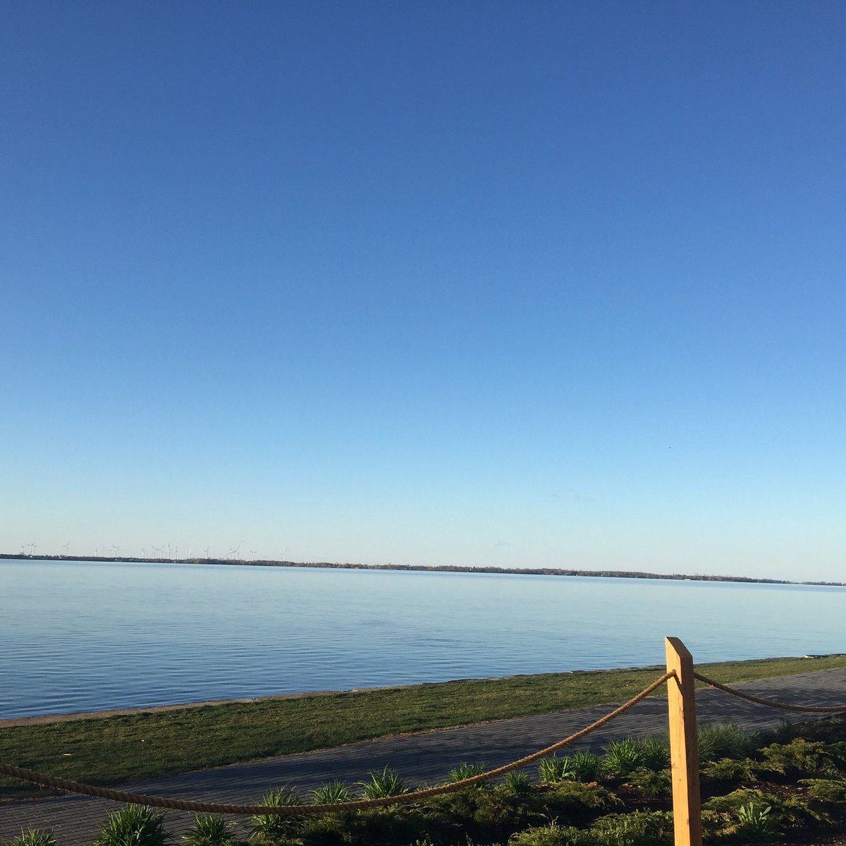 RachelMathies's tweet image. A serene view from the @Juniper_Cafe. Who feels like espresso? || #ygkfood #yumgk #bestcoffeeintown