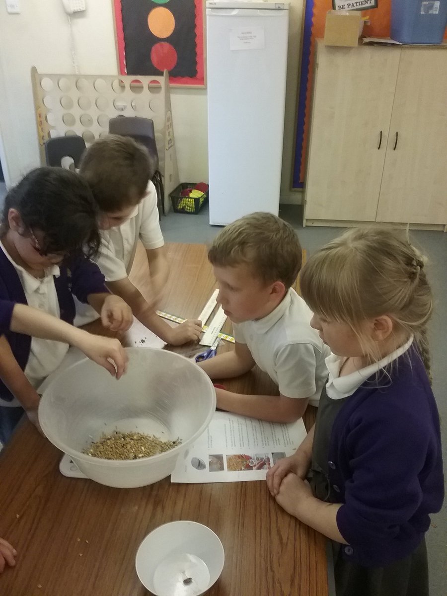 Sarah_white82's tweet photo. Making fatcakes to encourage some wildlife  #writingnonfiction #engagedlearners #whoiscleaningup https://t.co/lHgftev6HA