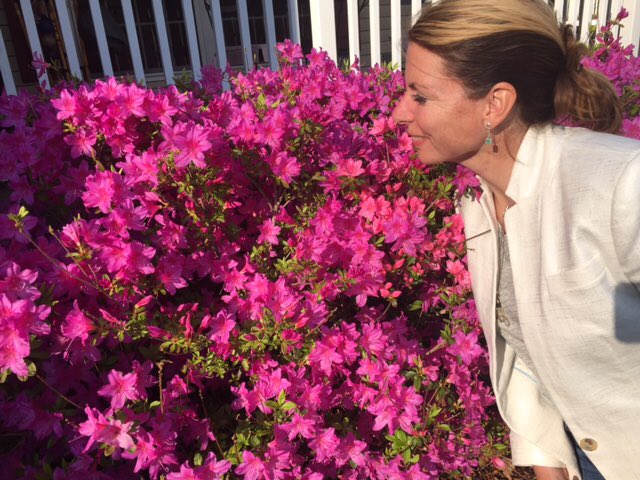 SharonGraff2016's tweet photo. The Graff Campaign is in bloom! Feeling grateful for the overwhelming support! #graff2016 https://t.co/I0BX8fSJVc