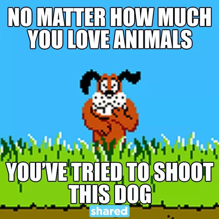 WestATXChivers's tweet photo. #DMR #thatdamndog #laughatmeagainbitch #chive #chivenation #chivenationthangs #westatxchivers https://t.co/7h4XKWHKaV