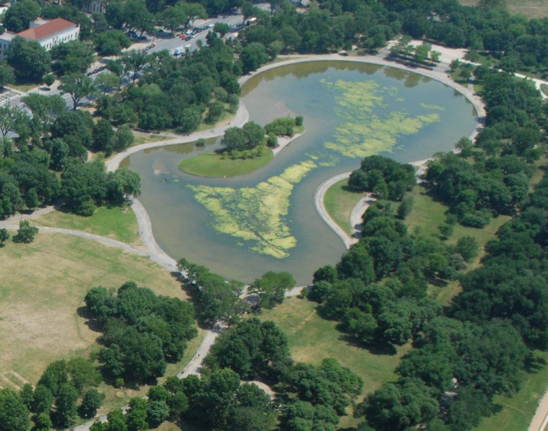 RT <a href="/TheNationalMall/">The National Mall</a>: Restoration is shovel ready at Constitution Gardens. nationalmall.org