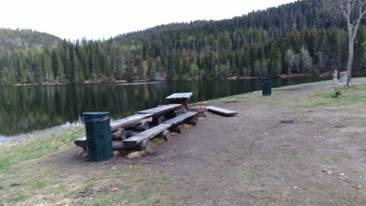 andgnist's tweet photo. #Trondheim #Tømmerholtdammen #Estenstadmarka #Hærverk
Jeg blir lei meg og sinna når jeg ser sånt. Er det nødvendig? https://t.co/0myhDDkoyB