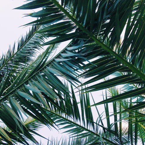 WeAreCleanup's tweet photo. Good morning, South Florida! https://t.co/McRQQpOGyW https://t.co/gik6zbqFuU