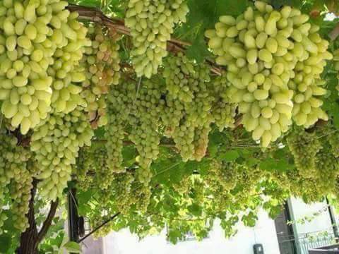 here_adel6's tweet photo. https://t.co/9wLeHoULiG