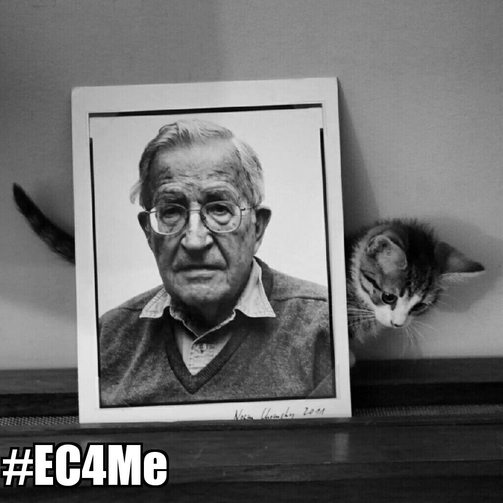 FreeEmbassyCat's tweet photo. No place to hide from all the conspiracies. Meow
#EC4Me #FreeCat https://t.co/xoAs4iIlhl