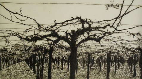 winebees's tweet image. Έκθεση Wine Spirit/Το πνεύμα του κρασιού winebees.wordpress.com/2016/05/10/%ce…