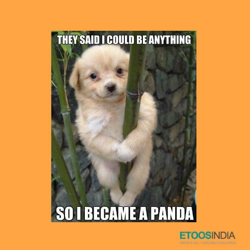 EtoosIndia's tweet image. Innocent panda :) #Laugh #FunDose #EtoosIndia