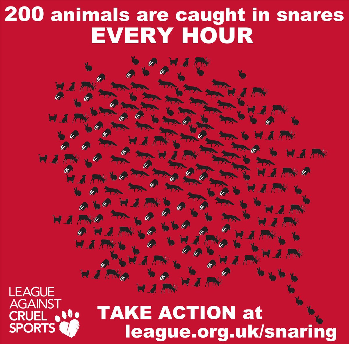 200 animals fall victim to snares every hour 

#BanSnares

Take action today at bit.ly/BanSnaresUK