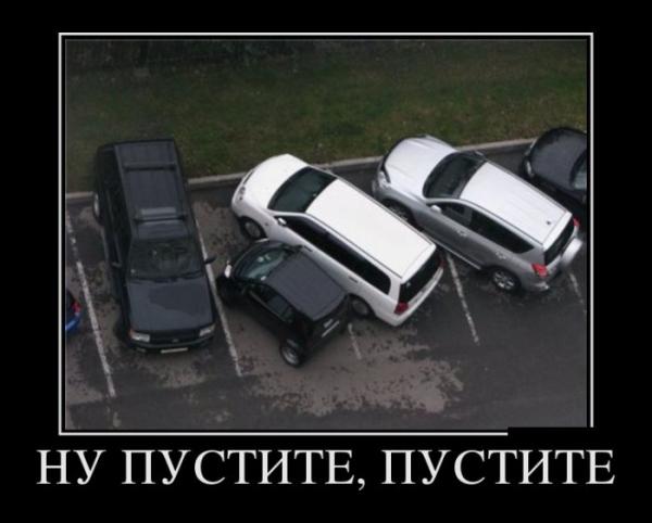 Инна Левадная (@innalevadnaya) on Twitter photo 
