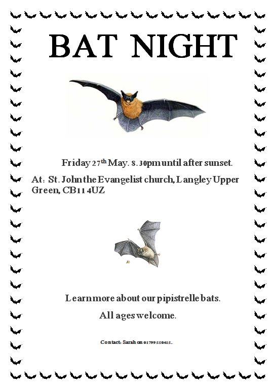 Bat Conservation Trust tweet media