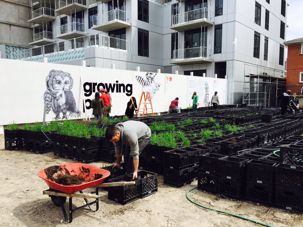 boweryproject tweet media