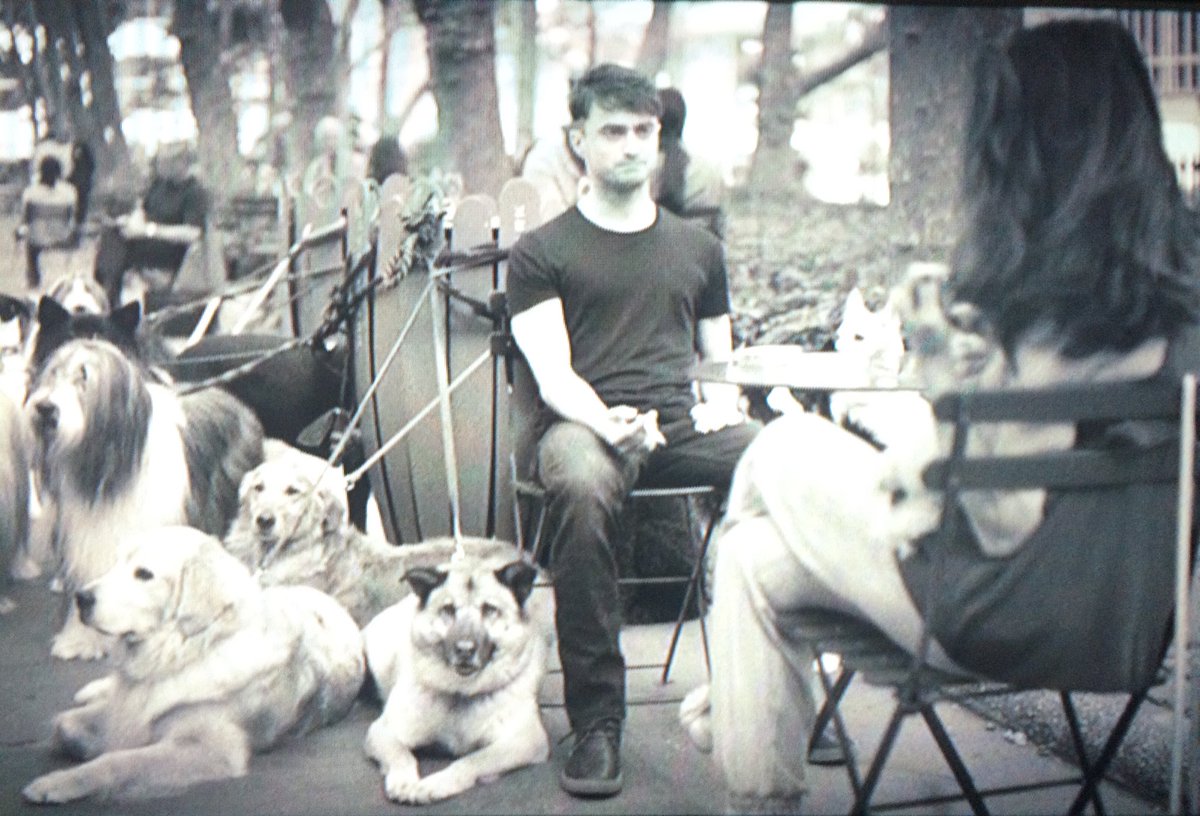 伊藤聡 Trainwreck で主人公が見に行く架空のアート映画 The Dog Walker は ダニエル ラドクリフ が主演 12匹の犬を散歩する男の役で なぜかマリサ トメイに誘惑される サンダンス映画祭で高評価という設定