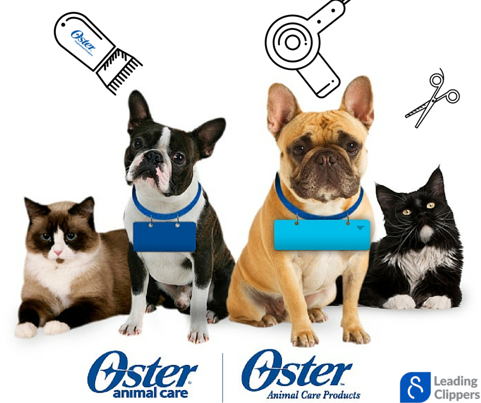 ClippersLeading's tweet photo. #OsterAnimalCare #OsterAnimal #OsterProducts #LeadingClippers https://t.co/OsF2U94PX2