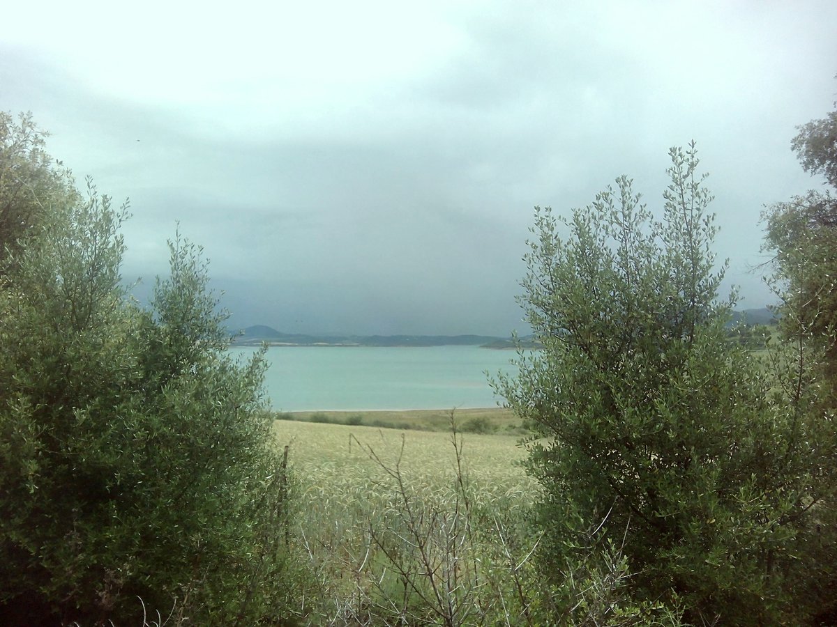 Momentos que duran segundos, pero puedes estar horas y horas pensando en ellos <3 #camping #AC #Cadiz #naturaleza