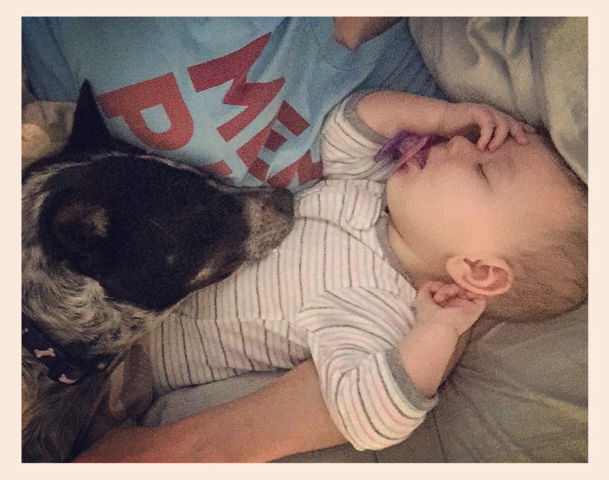 AllHall901's tweet photo. They are both OUT!!! It's like he knows she is not feeling well!! #AddyG #Zbone #love #thesnuggleisreal @Granttis https://t.co/oPq8NOK9rS