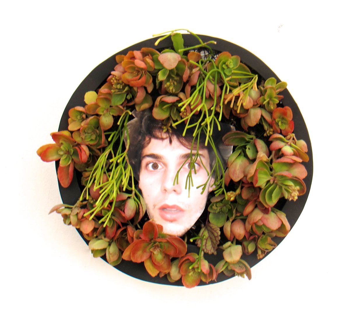 bionicphoto's tweet image. HLUNE - BIONIC PAINTING #DESIGNTOYS #BIONICPAINTINGS #CUADROSBIONICOS #ART #TOYS