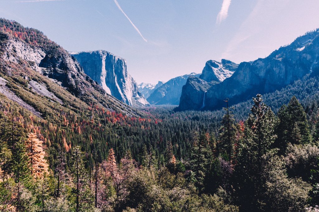 visualgasm's tweet photo. Yosemite national park https://t.co/DrlLJ3Rjto