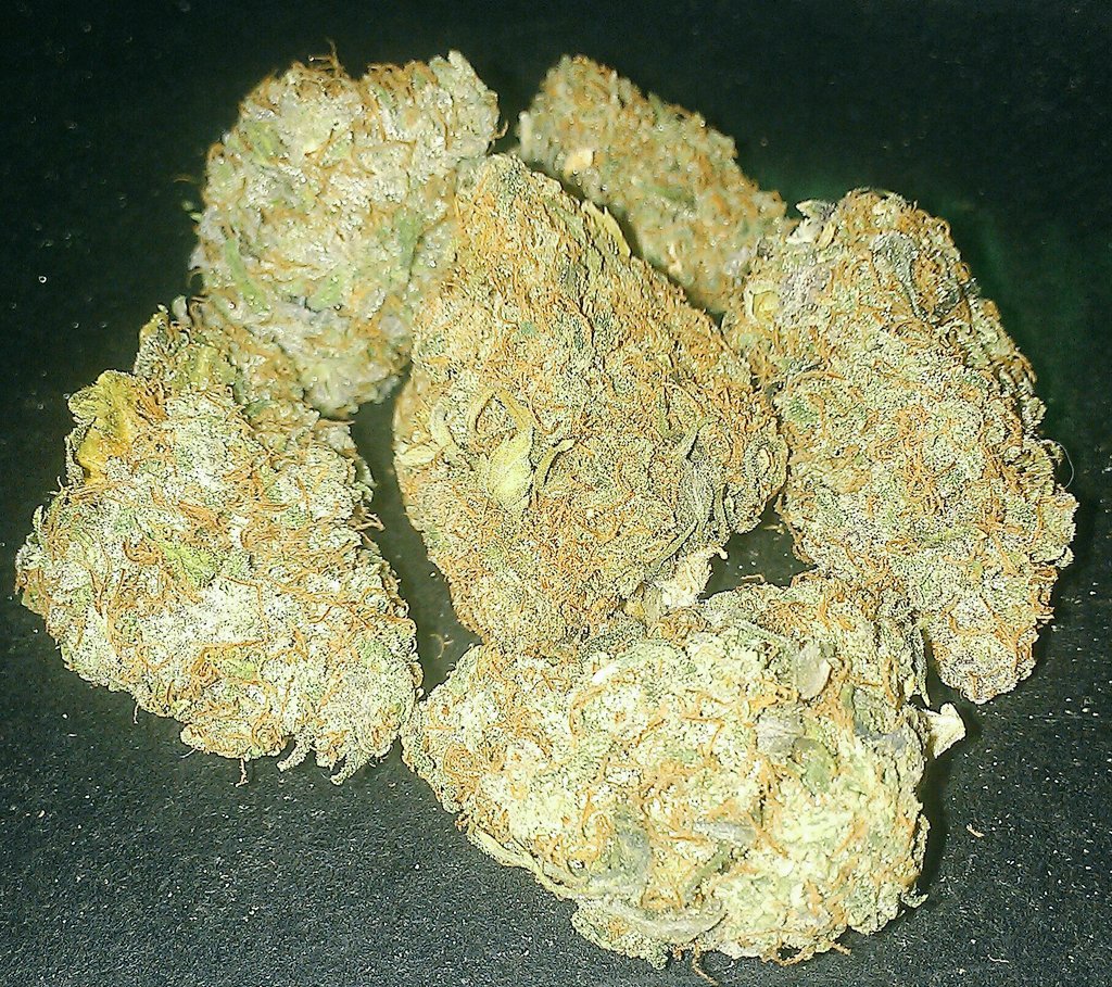 The louder the better 🍁