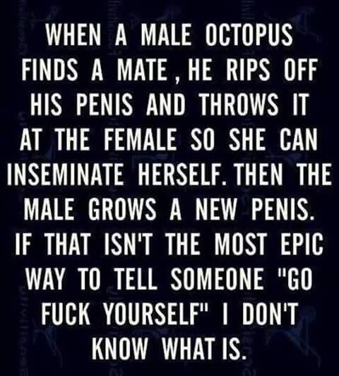 🐙😅 https://t.co/UWaLQfLSfO<a href="/tag/onmfc"class="tags"><span>#onmfc</span></a>