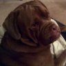 MiniMinscom's tweet photo. Lipotrim here I come https://t.co/VjtPS6jkgd | https://t.co/RwPiaonnJ4 https://t.co/TtscXePfxN