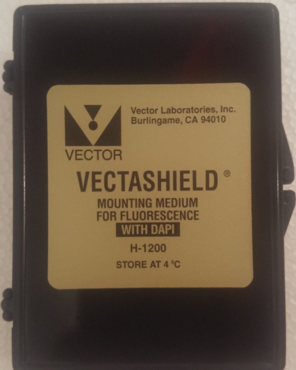 skygenlab's tweet photo. @skygenlab firmamızdan @vectorlab #vectashield temin edebilirsiniz #histology #immunohistochemistry #histoloji https://t.co/LUhD5LjJvn