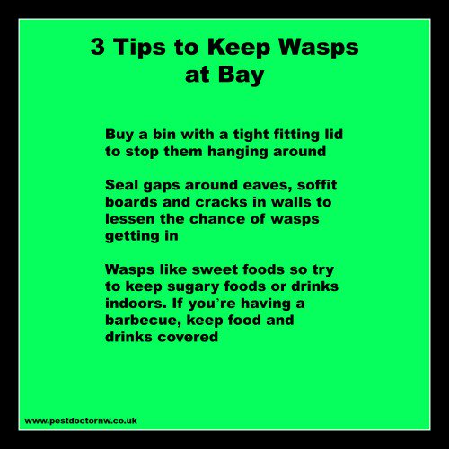 We're getting lots of calls about #wasps, here are 3 tips to keep them at bay, please RT #pestcontrol #pestdoctor
