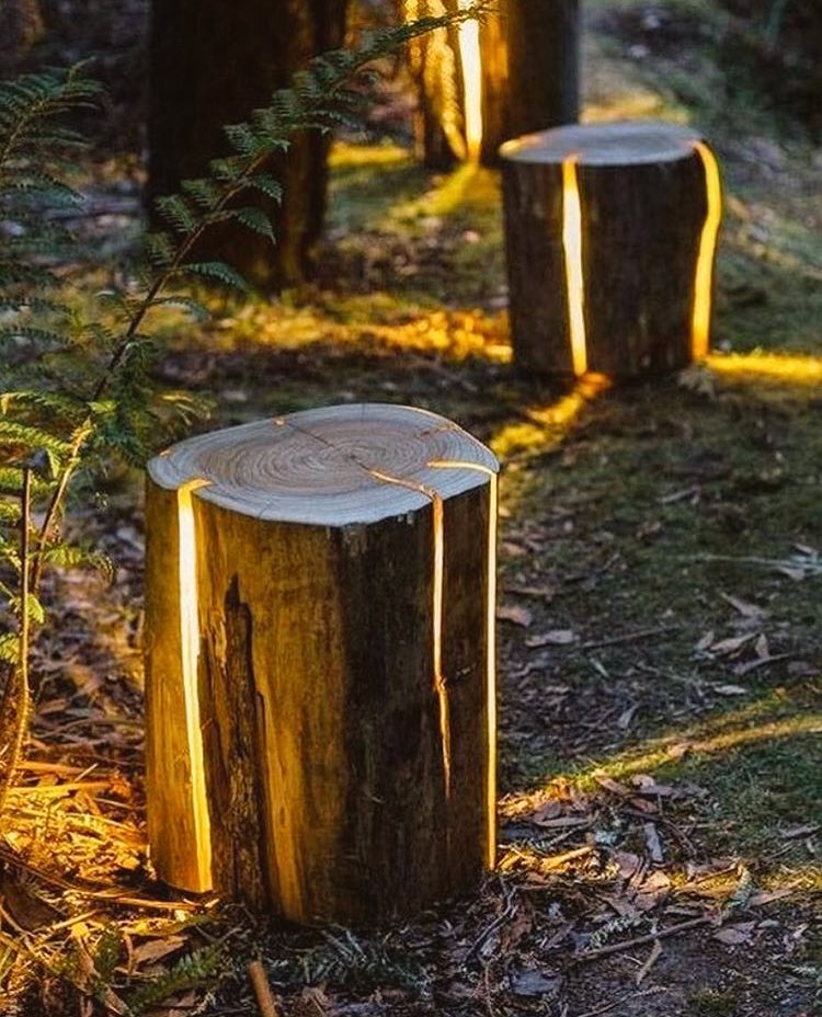 Love these light stumps!!! #lighting #interiordesign #architecture #wood #stumps