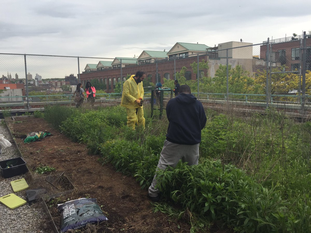 goswSCIENCE's tweet image. Carroll Gardeners makin&apos; me smile