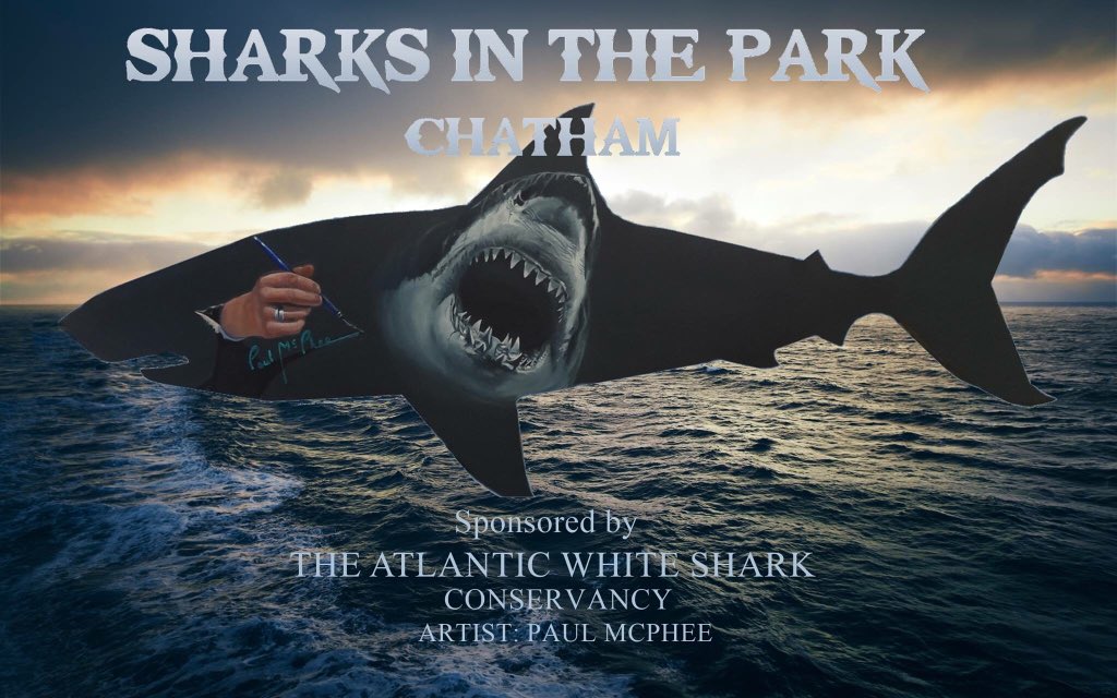 Atlantic White Shark Conservancy on Twitter: "AWSC is sponsoring this amazing artwork by @Paul