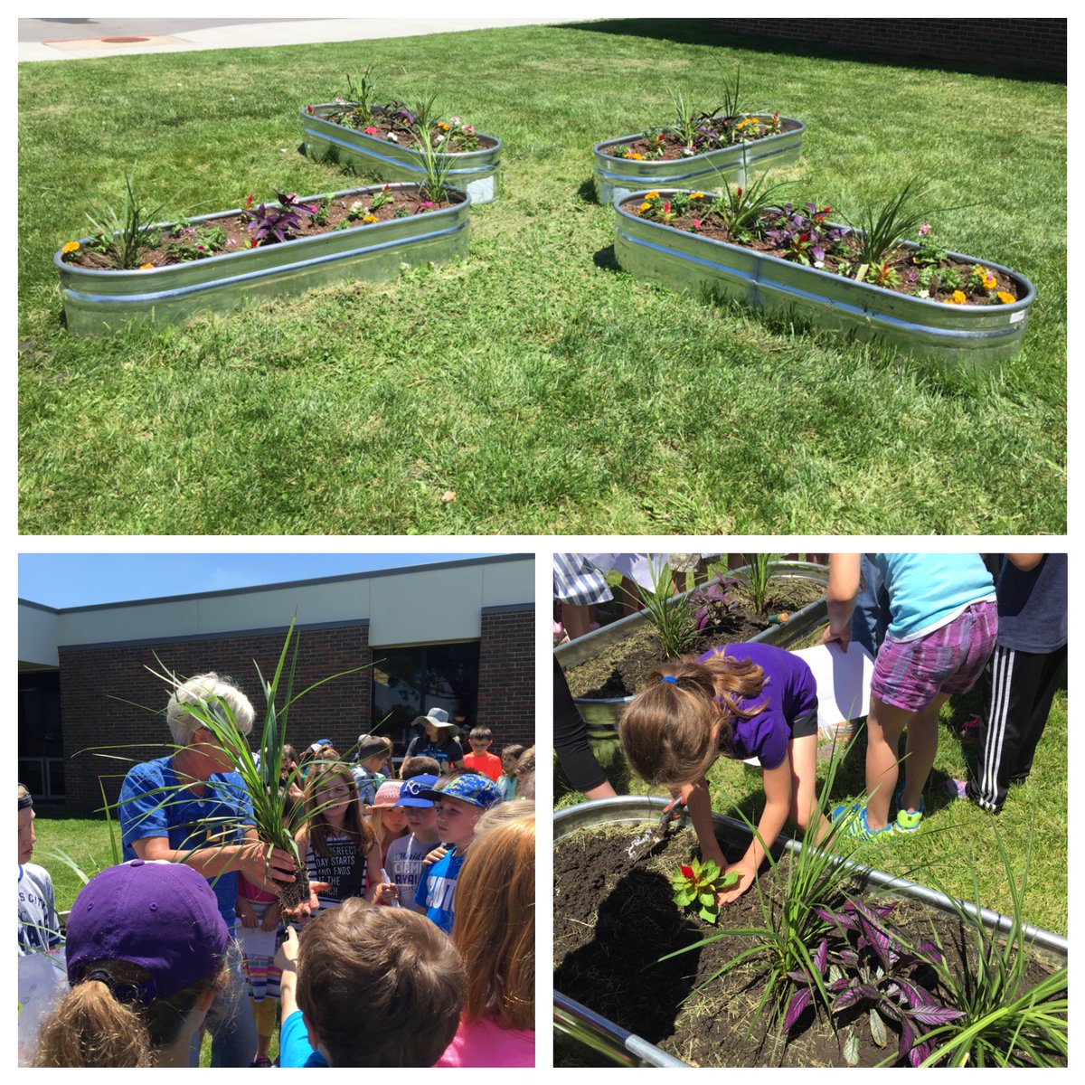 sheryl_ferguson's tweet photo. Second grade gardeners...#iWeekLC. #lcblazers https://t.co/kUJmJZSPPr