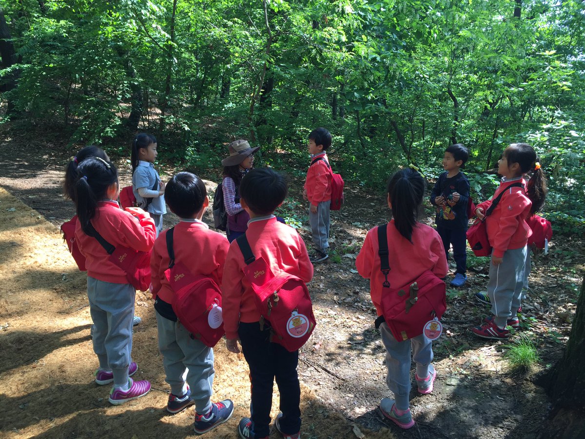 #성남시 판교어린이집# 오늘은 날씨도 좋아 더욱 즐거운 숲놀이 시간입니다. 나뭇잎 뒤에 숨은 애벌레도 찾고 나뭇가지 사이에 숨은 애벌레도 찾고...