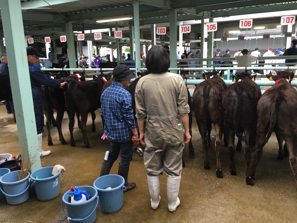 子牛市場 子牛市場