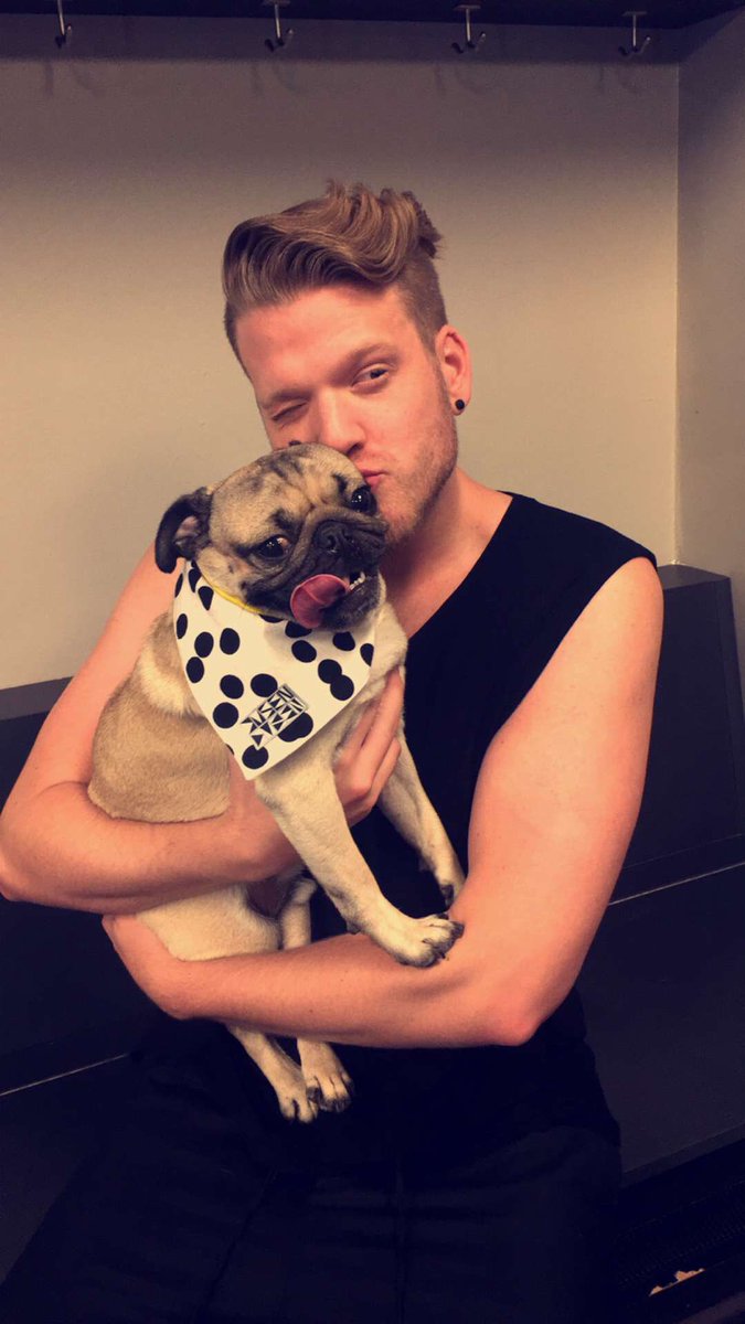 scotthoying's tweet photo. MY BABY @itsdougthepug https://t.co/X0p6gVmqPZ