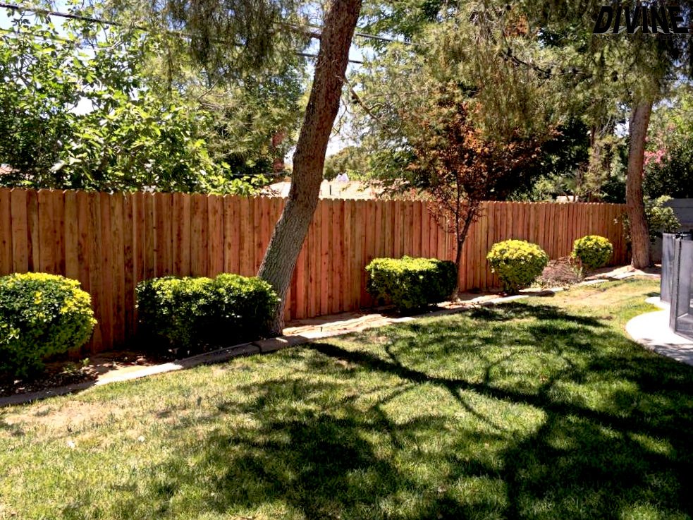 DivineFence's tweet photo. NEW IN: Wood fencing done by Divine!! Here in Las Vegas! 

#wood #vegas #divine https://t.co/GtACdRxPGa