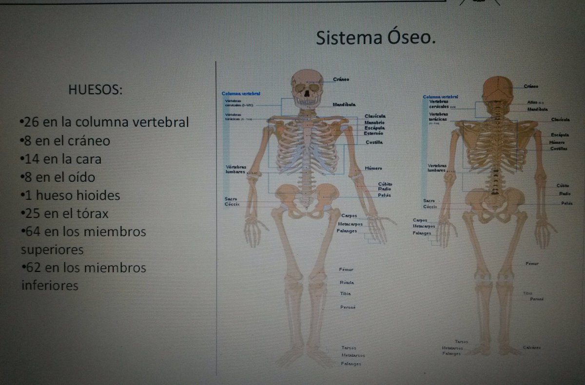 CIE_10_VE's tweet photo. #coditips Fundamental para el codificador tener conocimientos básicos de anatomía,aquí dos de los sistemas a conocer https://t.co/QXQ1FuwMeV