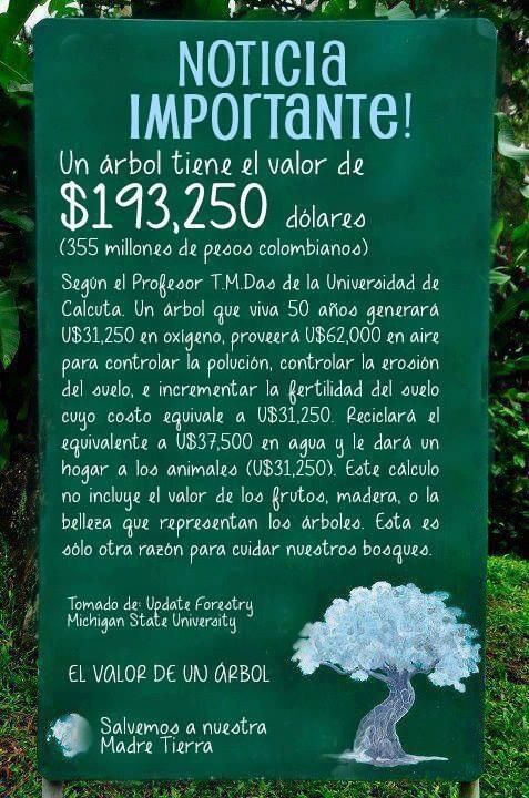 Ecogranjero's tweet photo. El valor de un árbol... di no a la deforestación ! https://t.co/PysD8XxHKG