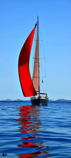 WestportBC's tweet photo. It's a perfect day in #WhiteRock! Where would you like to be? #RatherBeBoating #OpenOcean #SunnySkies #TravelTuesday https://t.co/zukLLKhkhh