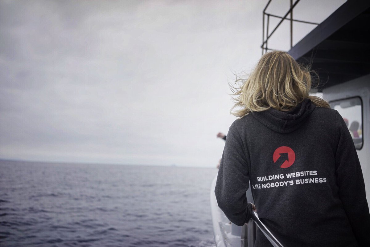 Building websites like nobody's business, and sometimes we go see dolphins 😄 #10upworldwide #team10up