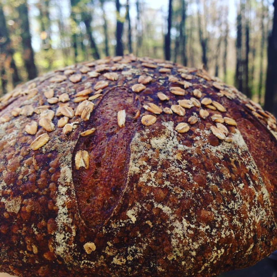 Nomad_Bakery's tweet photo. Spring in New England organic #localoats #localhoney #levain #sourdough #wildyeast #homebakery #springinnewengland https://t.co/j4rOy7ncjG
