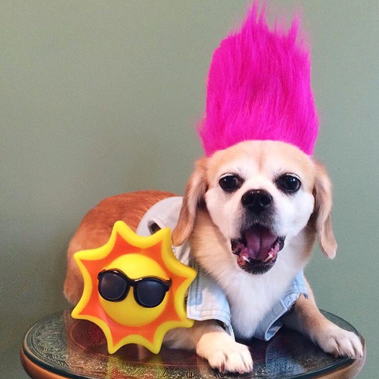 #FeelingThis!!! #regram #PegInABlanket 

#GotThatSunshineInMyPocket #CantStopTheFeeling ☀️🙌🏼