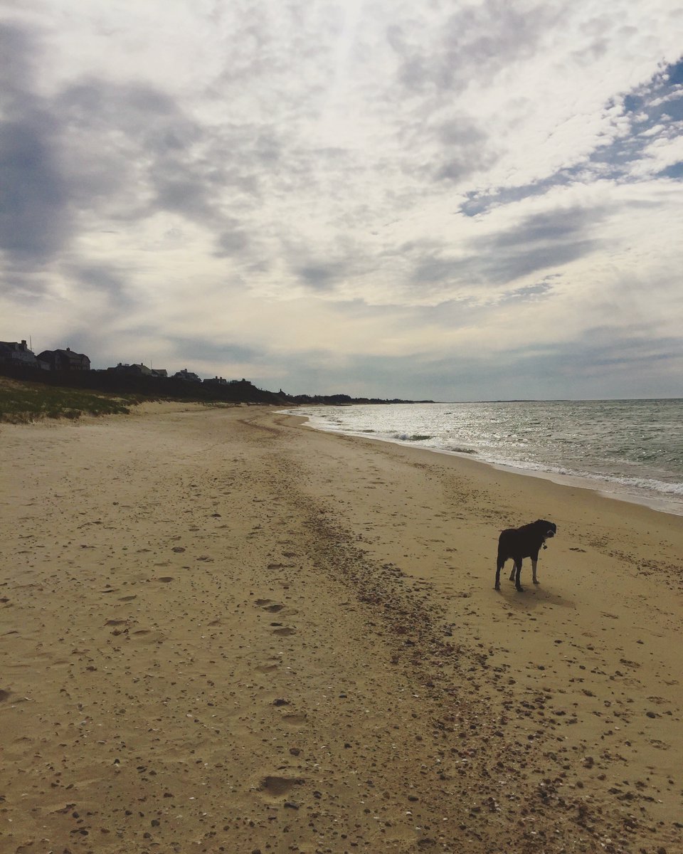 bmeyerack's tweet image. Previewing new listing in the #Nantucket Cliff area. Couldn't pass up a chance to put our feet in the sand at Steps!