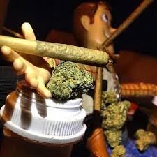 Marijuana_hubb's tweet photo. puff puff pass tuesday🍁 https://t.co/R6PQZyNqwd