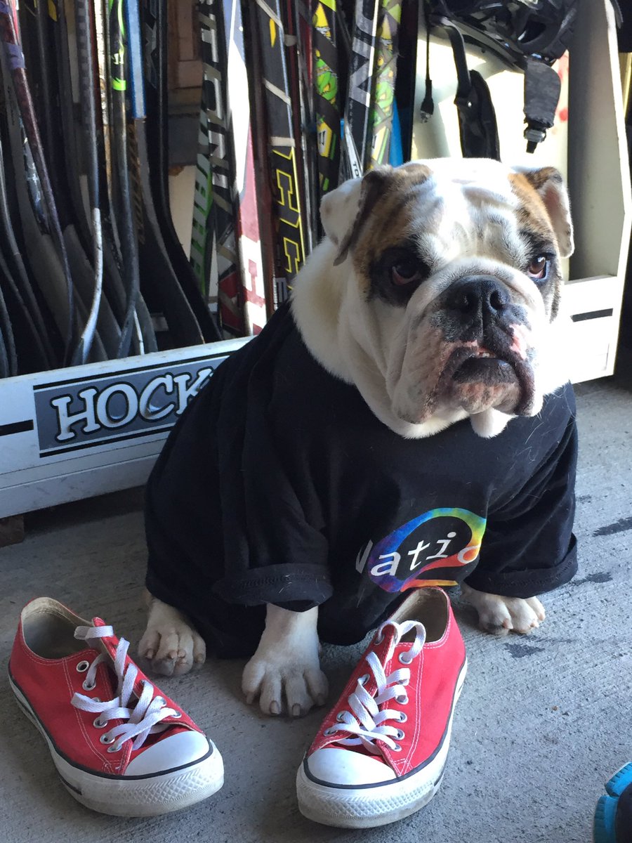 Q NATION 2017 tweet media