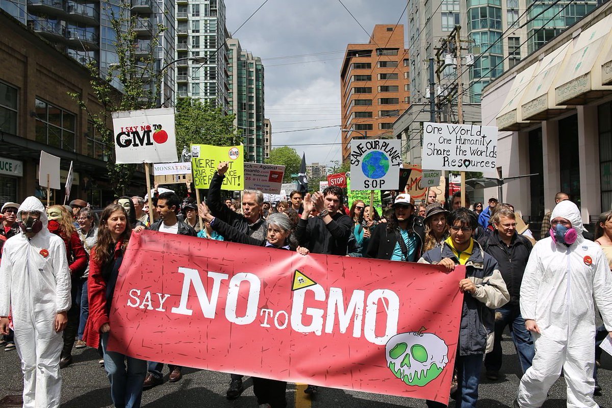 Fight Against GMOs (@say_no_gmo) on Twitter photo 
