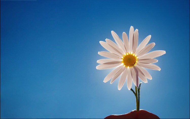 진심으로 사람을 사랑하는 것은 그 사람의 외모나 조건 때문이 아니다. 
그에게서 나와 똑같은 영혼을 알아보았기에 사랑하는 것이다.
- 톨스토이 -