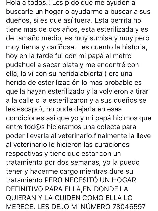 Fui Jovencita (@joven_y_alocada)  Twitter