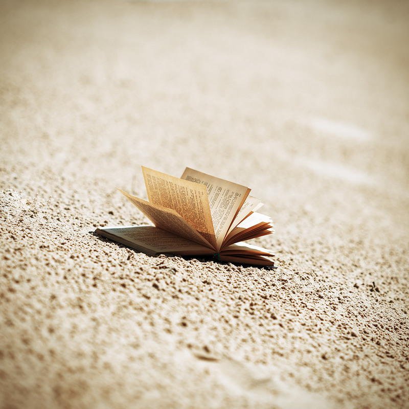 problogger tweet picture