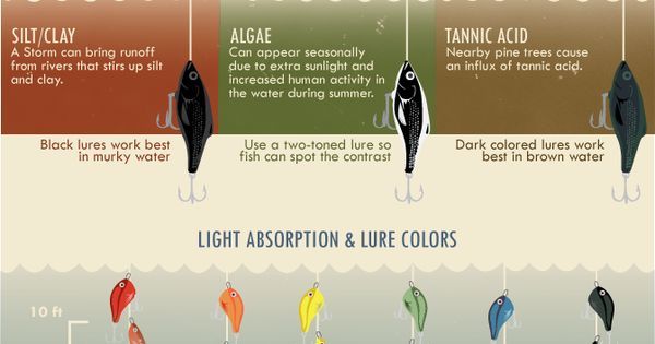 LureShield's tweet photo. Just Pinned to Fishing Tips &amp; Tricks: Find out how lure color changes underwater for bette… https://t.co/iJi1EV5muf https://t.co/rgfoeeI4Xx